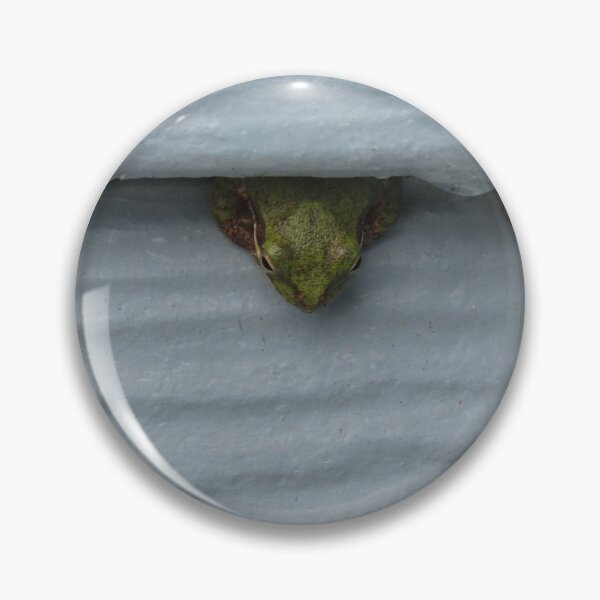 Item preview, Peeping frog designed and sold by laceyyyann34.