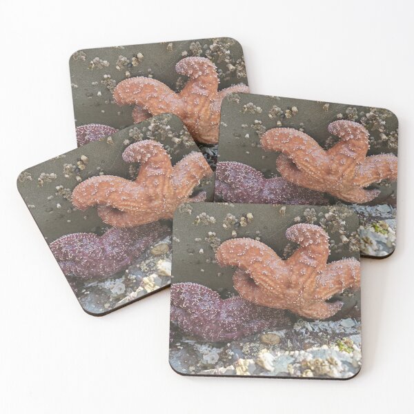 Item preview, Starfish on Rock designed and sold by kris932.