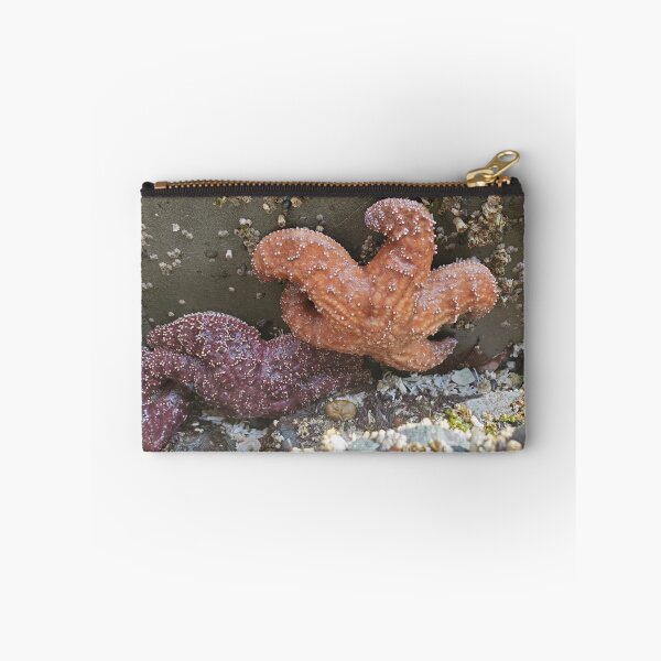 Item preview, Starfish on Rock designed and sold by kris932.