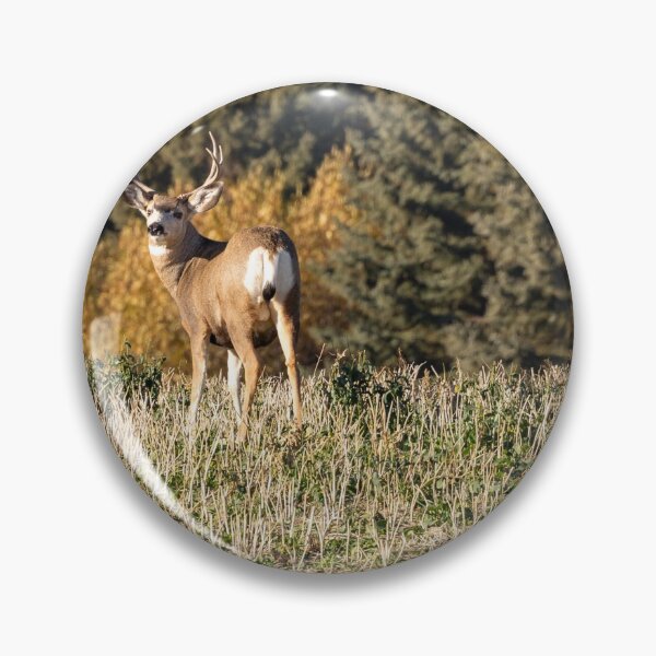 Item preview, A deer with Antlers designed and sold by Don Arsenault.