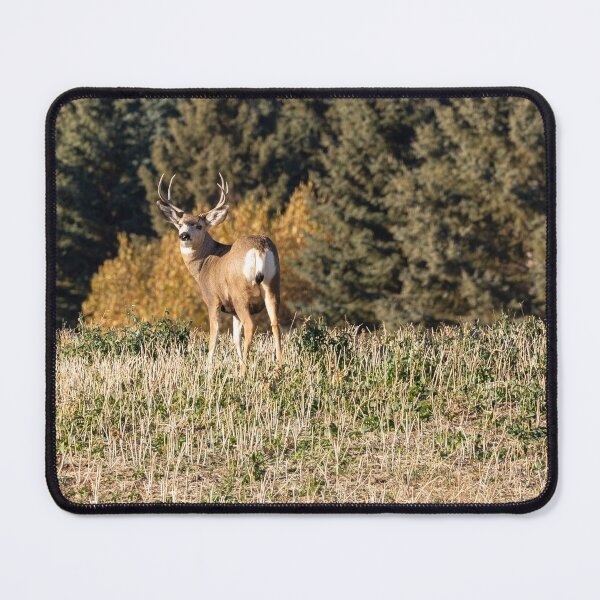 Item preview, A deer with Antlers designed and sold by Don Arsenault.
