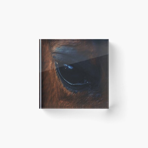 Artikelvorschau, Ponyjunge entworfen und verkauft von CodyDavisPhoto.