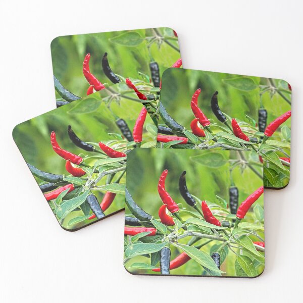 Item preview, Hot Spice Chili Peppers Plant Closeup designed and sold by worldways.
