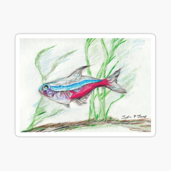 Tropical Fish Neon Tetra Sticker