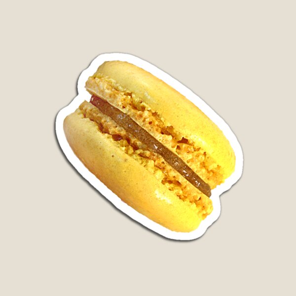Super Macaron Sunshine Magnet