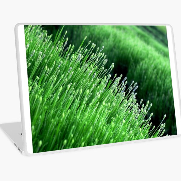 Green Lavender Field Laptop Skin