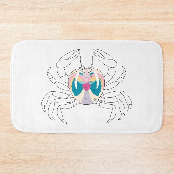 Item preview, Internal Anatomy Labelled of a Crab designed and sold by zoology-student.