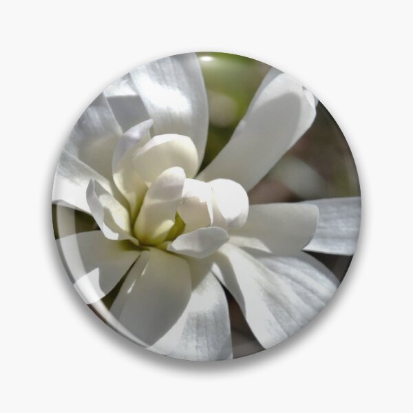 Artikelvorschau, Magnolienblume entworfen und verkauft von DeadEndDemon.
