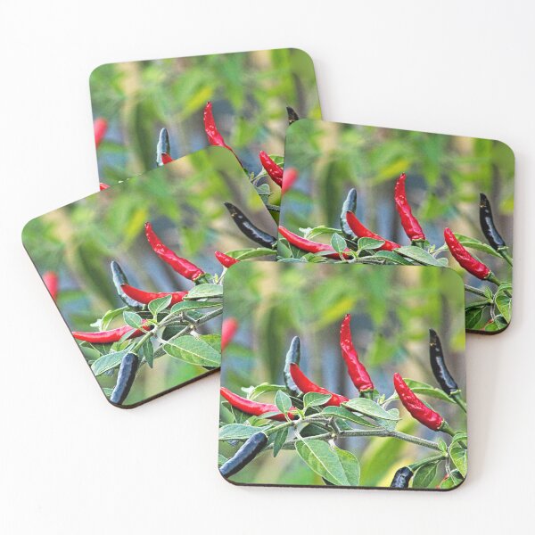 Item preview, Chili Peppers on Plant Hot Spice Mexican Closeup designed and sold by worldways.