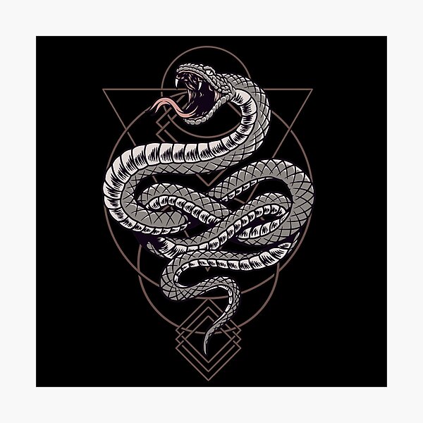 rattlesnake strike tattoo - Google Search  Snake drawing, Snake tattoo  design, Snake