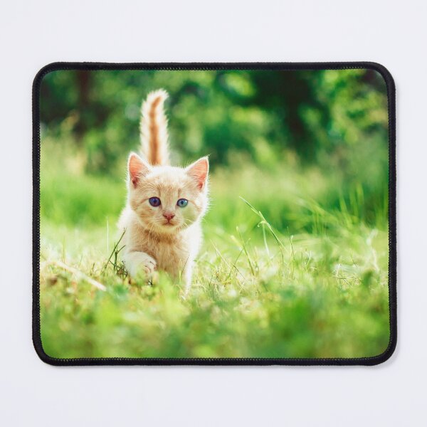 Item preview, Little beautiful kitty cat in the garden says hey to you! designed and sold by urban-color.