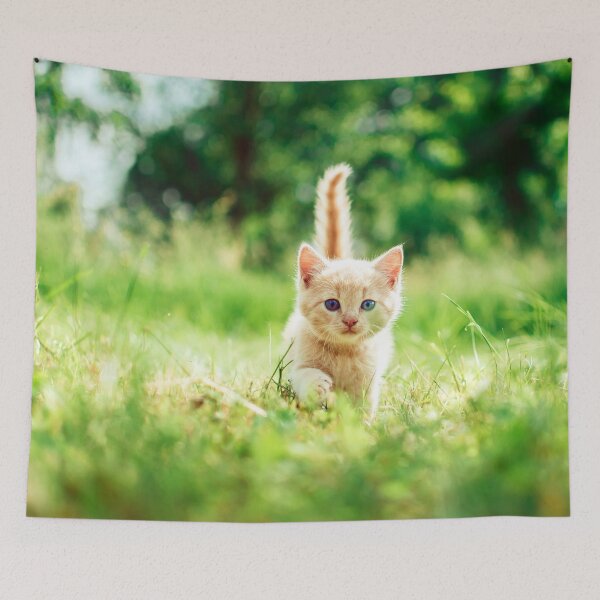 Item preview, Little beautiful kitty cat in the garden says hey to you! designed and sold by urban-color.
