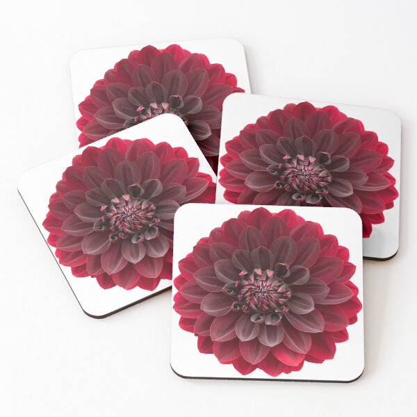 Item preview, Red Dahlia Flower Still Life Floral Photography designed and sold by CottoVerdi.