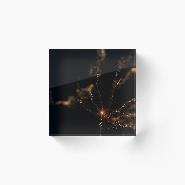 fireworks 7/2/15 Acrylic Block