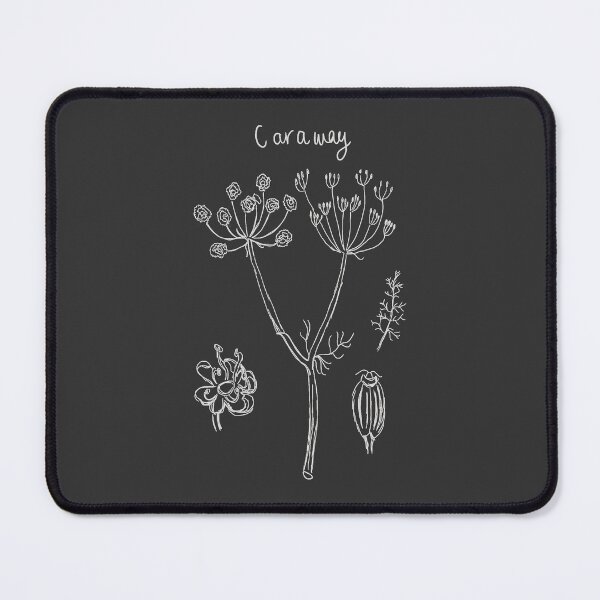 Item preview, Caraway Botanical Illustration (Light Version) designed and sold by sapiensfelis.