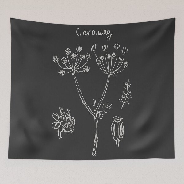 Item preview, Caraway Botanical Illustration (Light Version) designed and sold by sapiensfelis.