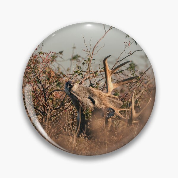 Item preview, 10-Point Buck (Sachuest Point)  designed and sold by photodunnright.