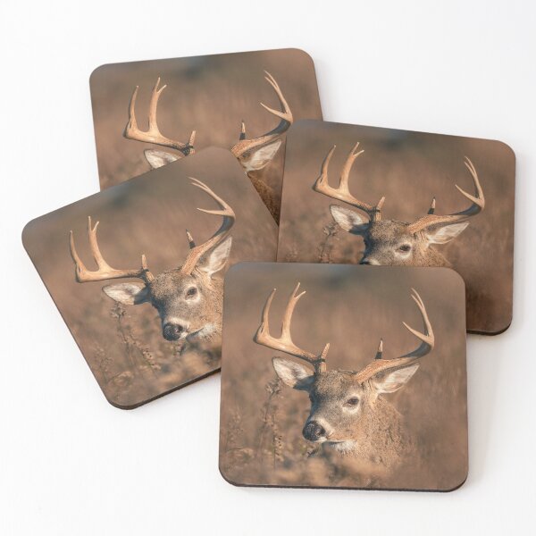 Item preview, 10-Point Buck (Sachuest Point) designed and sold by photodunnright.