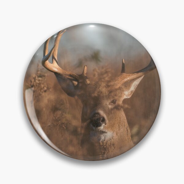 Item preview, 10-Point Buck (Sachuest Point) designed and sold by photodunnright.