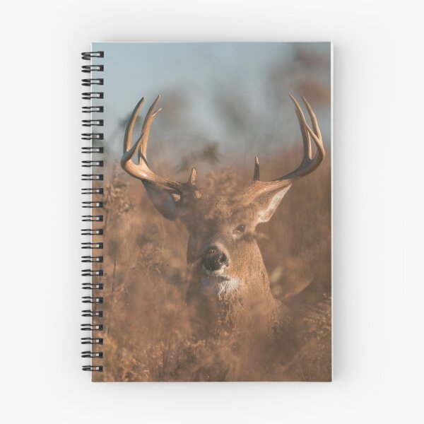 Item preview, 10-Point Buck (Sachuest Point) designed and sold by photodunnright.
