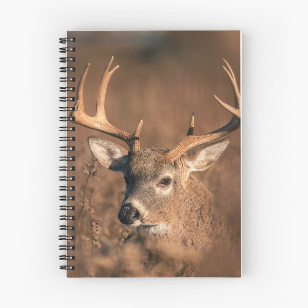 Item preview, 10-Point Buck (Sachuest Point) designed and sold by photodunnright.