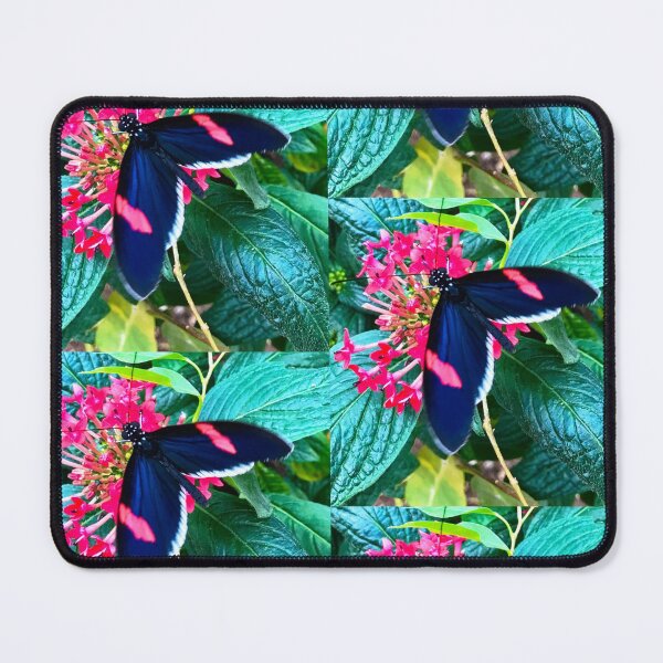 Item preview, Erato Longwing Butterfly designed and sold by GillianSweeney.