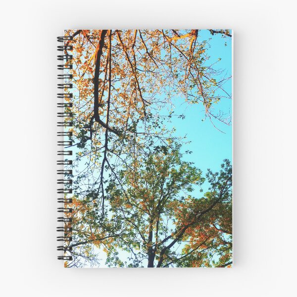 Aperçu de l'œuvre Arbres contre le ciel créée et vendue par DevynStone.