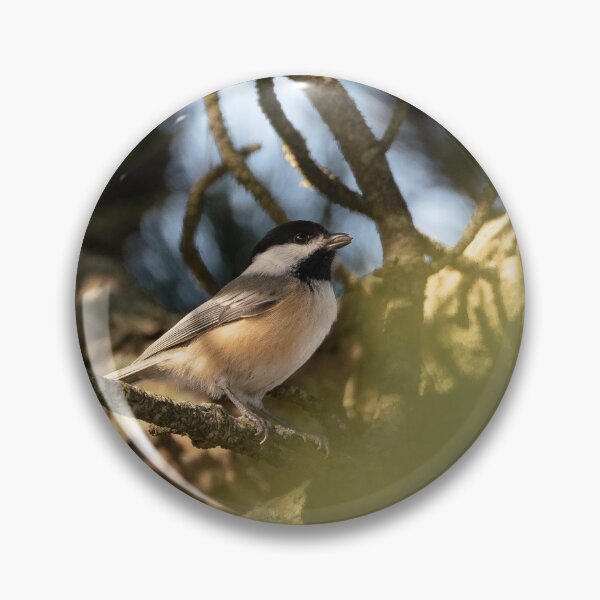 Item preview, Black-Capped Chickadee designed and sold by photodunnright.