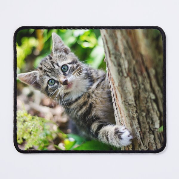 Item preview, Super cute kitty cat in the garden says hey to you! designed and sold by urban-color.