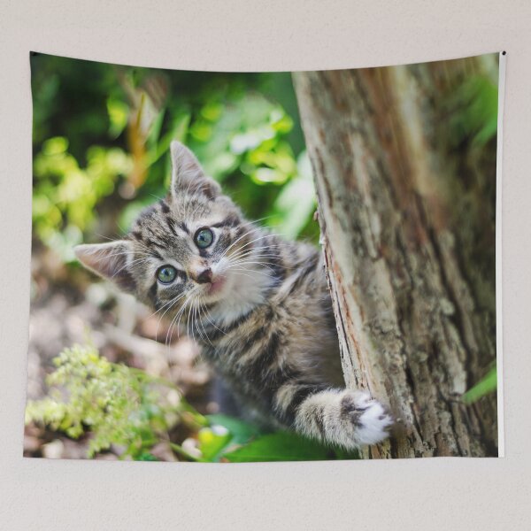 Item preview, Super cute kitty cat in the garden says hey to you! designed and sold by urban-color.