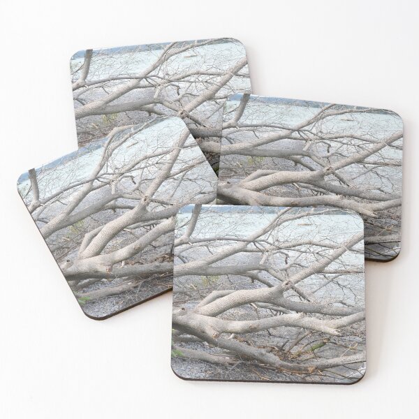 Item preview, Fallen tree designed and sold by NorthernSnappy.