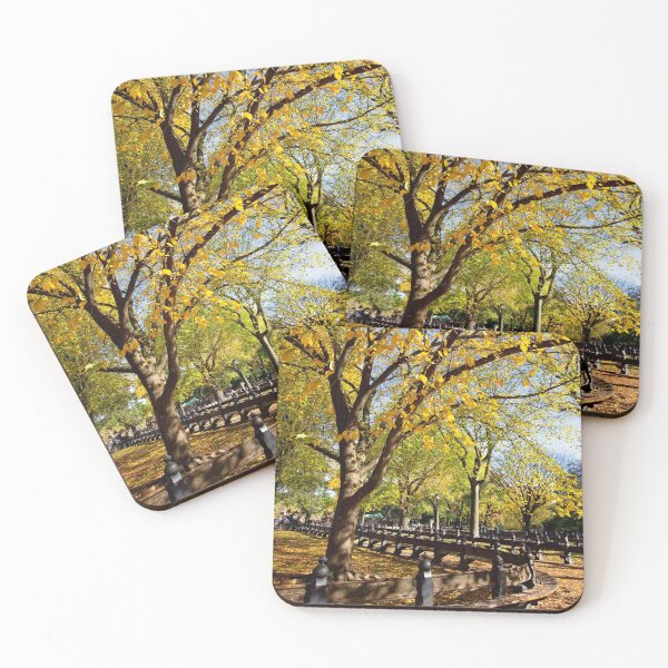 Item preview, Curved Benches in Fall, Central Park, NYC designed and sold by ExploreOutdoors.