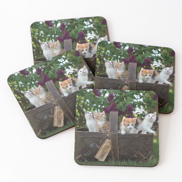 Item preview, Super cute kitty cats in a floral basket are saying hey to you! designed and sold by urban-color.