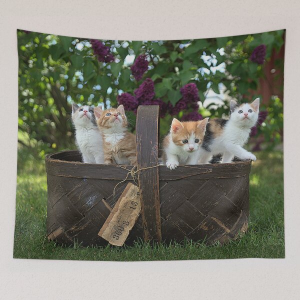 Item preview, Super cute kitty cats in a floral basket are saying hey to you! designed and sold by urban-color.