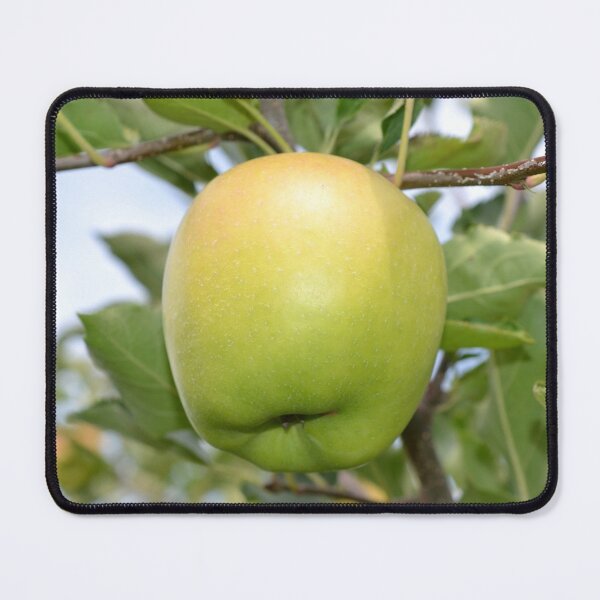 Item preview, Green apple at the apple orchard designed and sold by NorthernSnappy.
