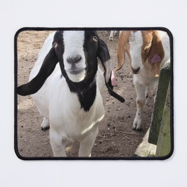 Item preview, Here to Get your Goat? designed and sold by DonnaM.