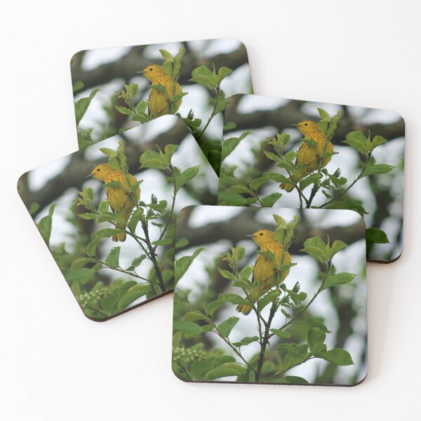 Item preview, Yellow Warbler  designed and sold by PhyllisG-Art.