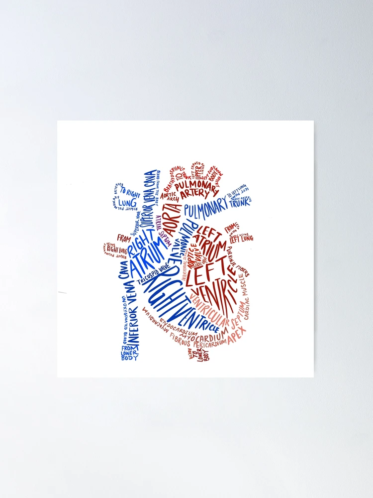 Lettered Anatomical Heart  Poster for Sale by Casey MacDonald