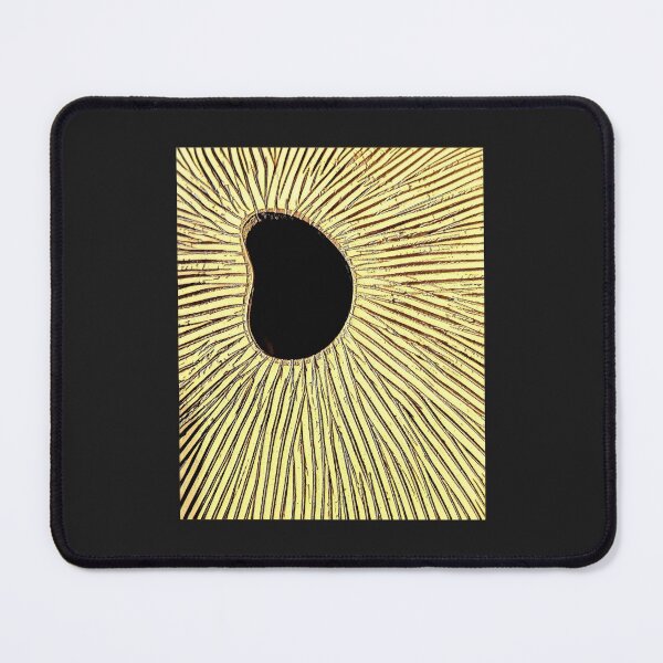 Item preview, Seashell abstract designed and sold by Thaddeus Zajdowicz.