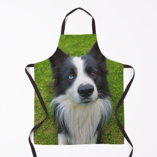 Item preview, Border Collie designed and sold by Frankie Cat Photography.