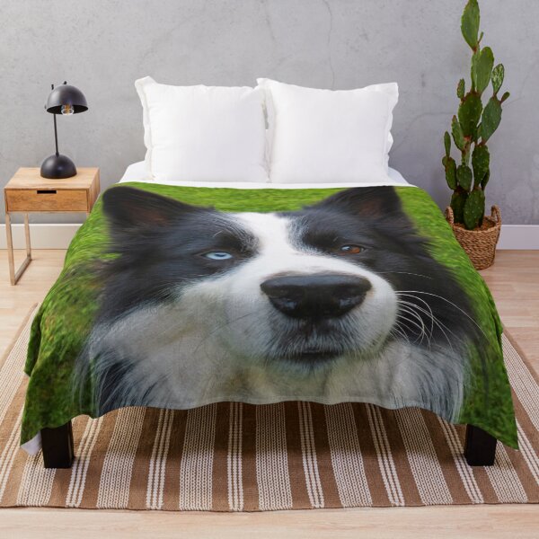 Item preview, Border Collie designed and sold by Frankie Cat Photography.