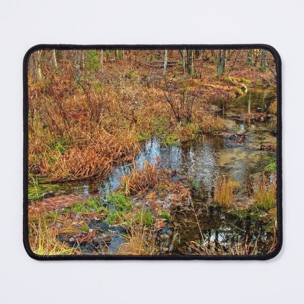 Item preview, Rivulet, Pocono Mountains, Pennsylvania designed and sold by AMacGPhilly.