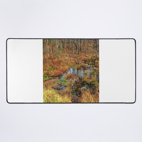 Item preview, Rivulet, Pocono Mountains, Pennsylvania designed and sold by AMacGPhilly.