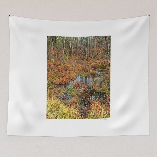 Item preview, Rivulet, Pocono Mountains, Pennsylvania designed and sold by AMacGPhilly.
