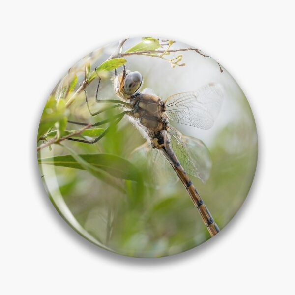 Item preview, Dragonfly Resting on a Tree Branch designed and sold by ethanabey.