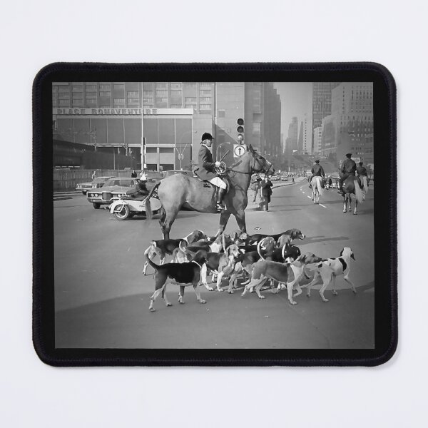 Item preview, Beagles in Montreal designed and sold by SpencerCSR.