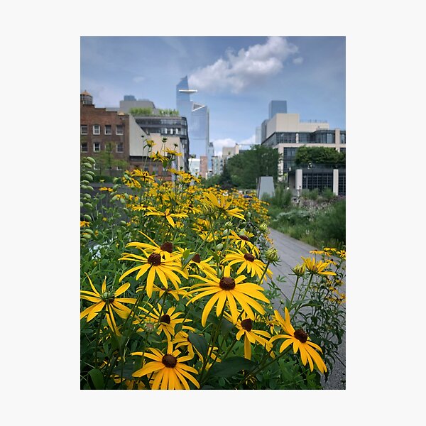 Item preview, Yellow Flowers, Highline, NYC designed and sold by ExploreOutdoors.