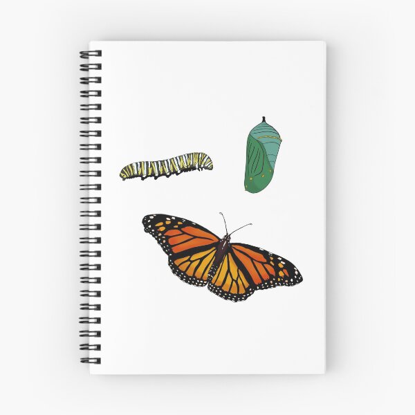 Item preview, Monarch Lifecycle Pattern  designed and sold by EmyBeeDesigns.