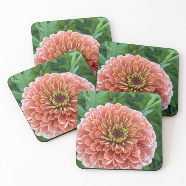 Item preview, Summer flower designed and sold by Beau Gordon.