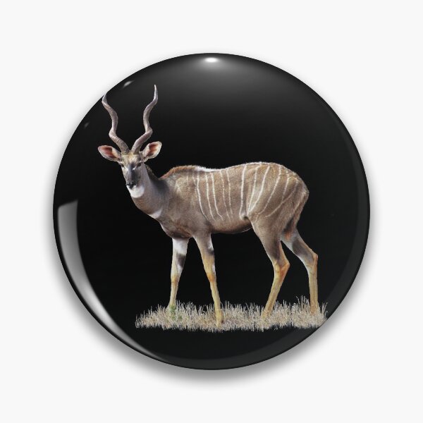 Item preview, Kudu - Little Kudu - Antelope in Kenya / Africa designed and sold by TShirtsundMehr.